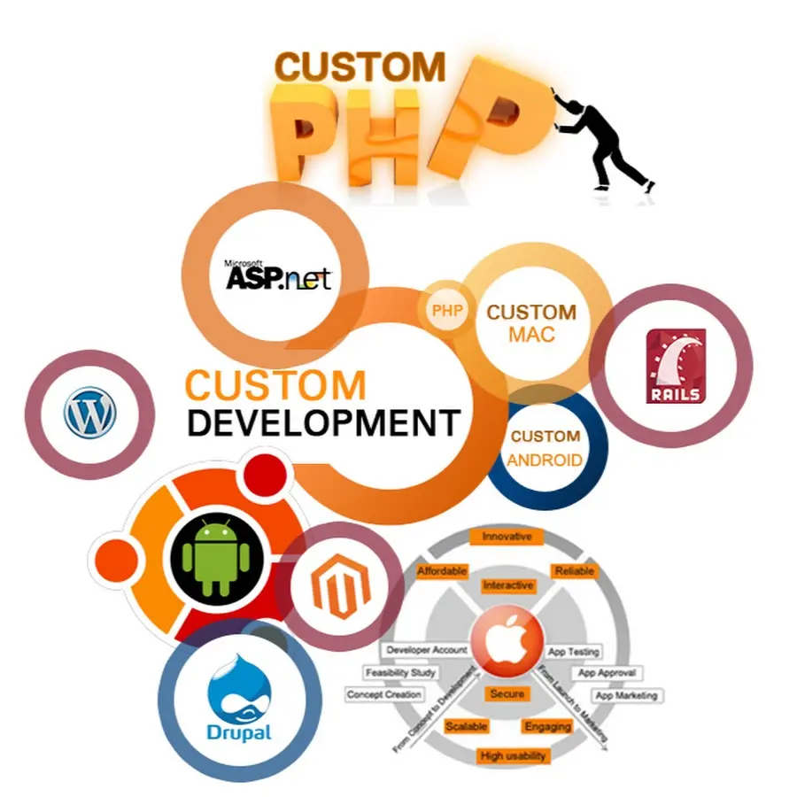 Custom Web Development